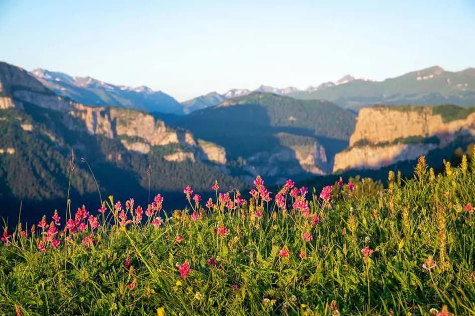 photo1689159710