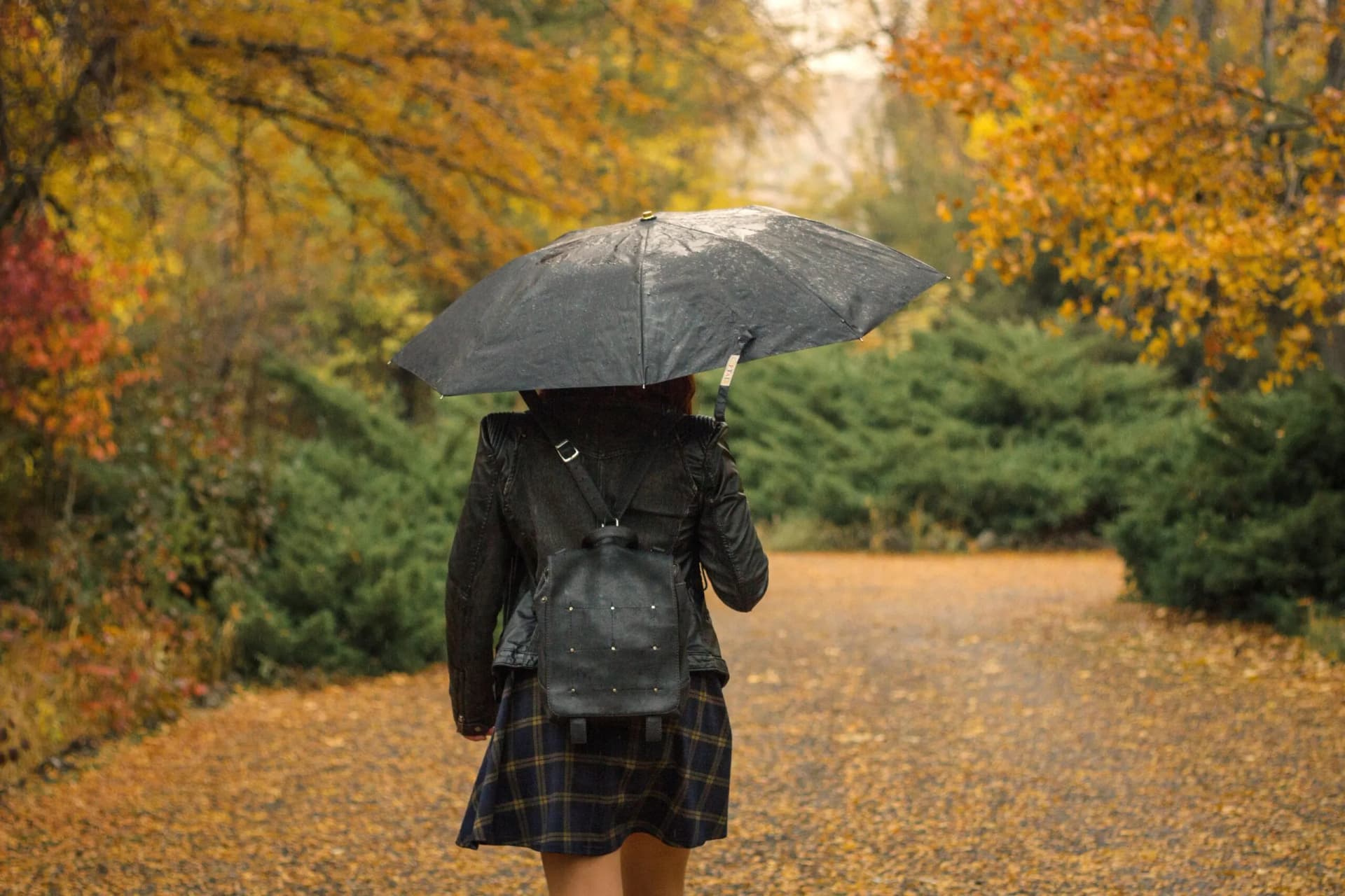 Beautiful shot of a female with an umbrella walking in the park on a rainy autumn day